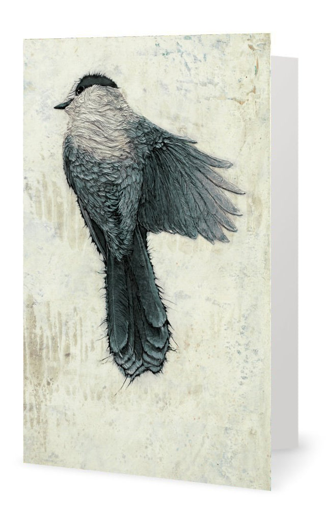 Canada Jay 2 - Art Card - Col Mitchell ~ Wild Blackbird
