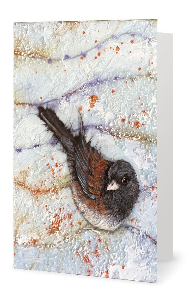 Candied Junco - Art Card - Col Mitchell ~ Wild Blackbird