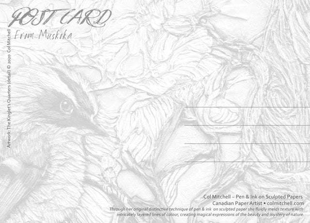 Kinglet's Quarters - Postcard - Col Mitchell ~ Wild Blackbird