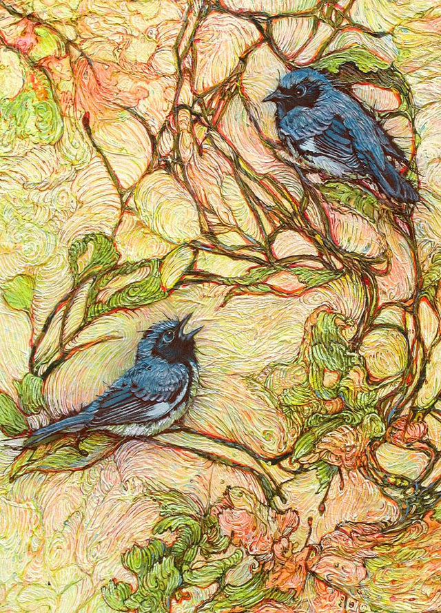 Lullaby Black Throated Warblers - Postcard - Col Mitchell ~ Wild Blackbird