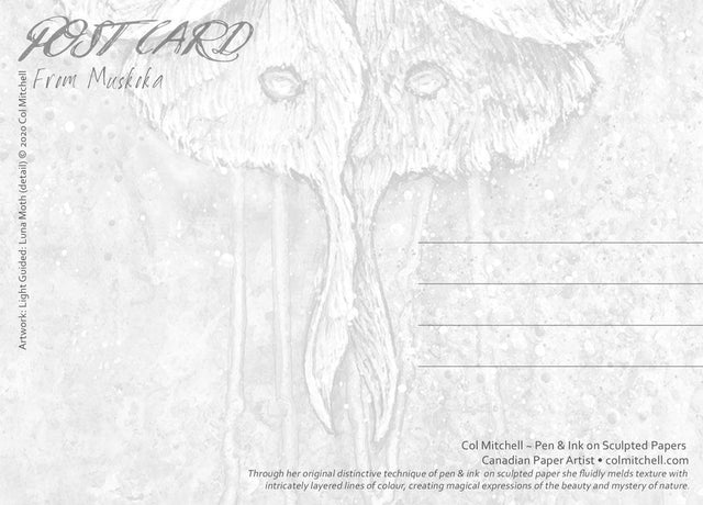 Luna Moth - Postcard - Col Mitchell ~ Wild Blackbird