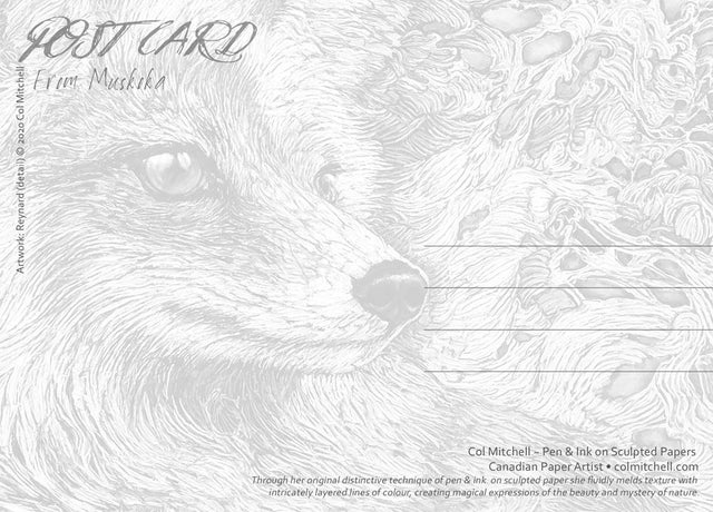 Reynard Fox - Postcard - Col Mitchell ~ Wild Blackbird