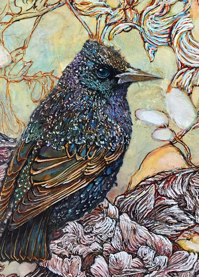 Starling 1 - Postcard - Col Mitchell ~ Wild Blackbird
