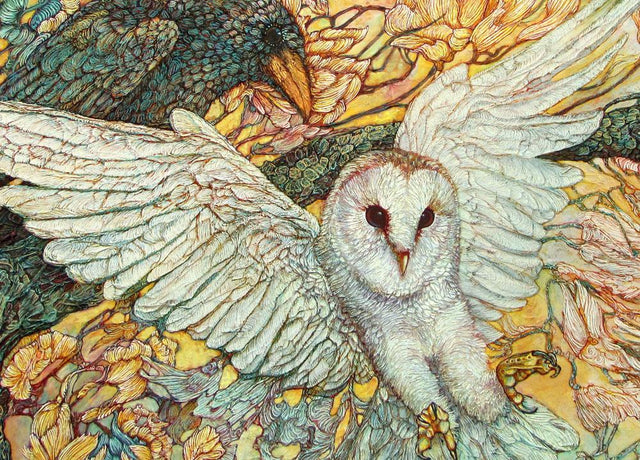 The Playground Owl and Raven - Postcard - Col Mitchell ~ Wild Blackbird