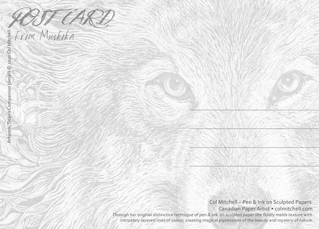Titan's Companion Timber Wolf - Postcard - Col Mitchell ~ Wild Blackbird