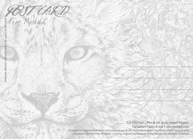 Winter's Ghost Snow Leopard - Postcard - Col Mitchell ~ Wild Blackbird